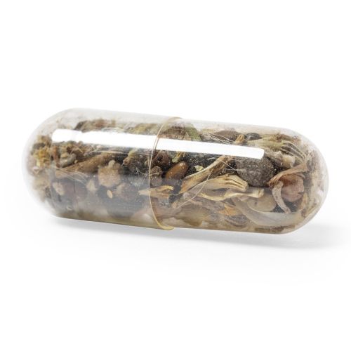 Seed capsule - Image 3